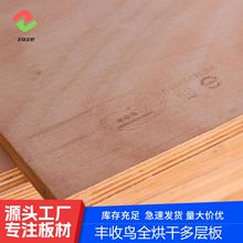 直销18mm全桉木多层板ENF胶合板全烘干全连芯家具板材橱柜油漆板