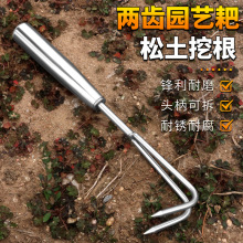 不锈钢松土耙园艺二齿耙种花园艺工具家用清理花盆耙草松土神器手