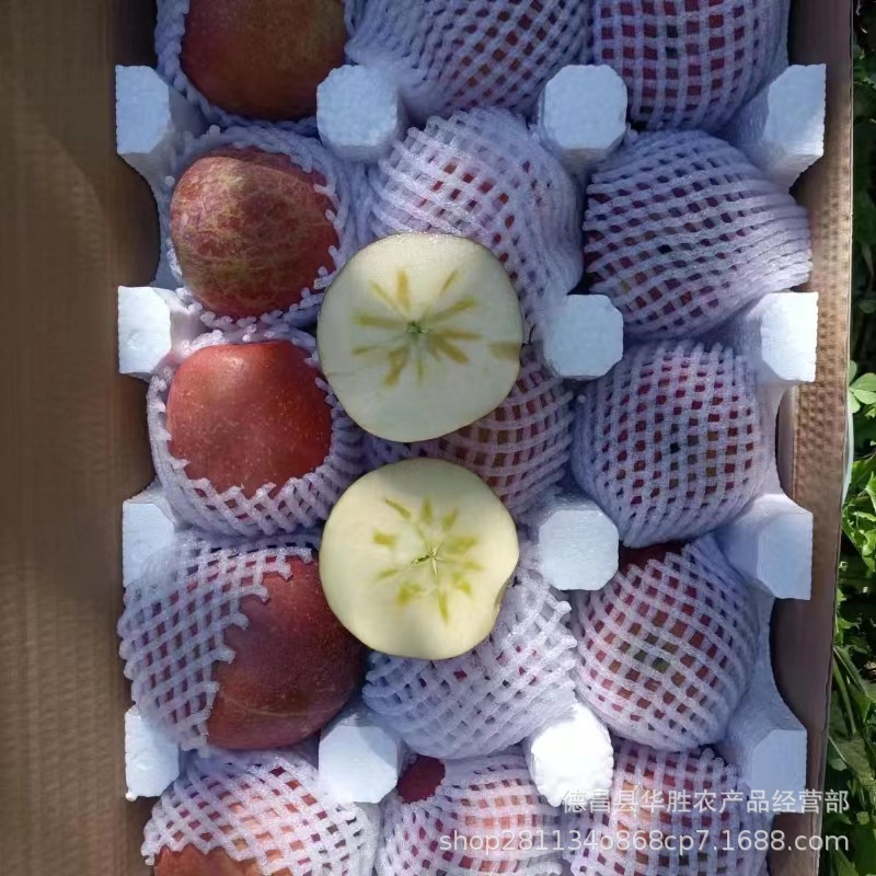 微信图片_20231211111123