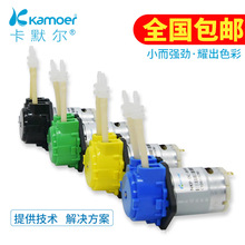 厂家直供12v小型自吸泵迷你循环24v微型水泵 抽水蠕动泵