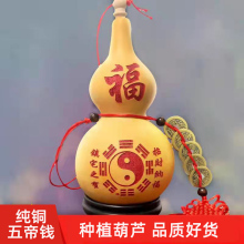 �_����Ȼ���J�������X�͏d���^�T���T�����N���M�����Ҕ[��