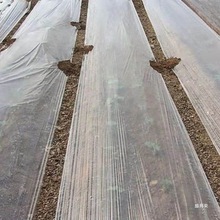 农用白色地膜塑料薄膜加厚大棚农用膜花生玉米种植保温保湿透山东