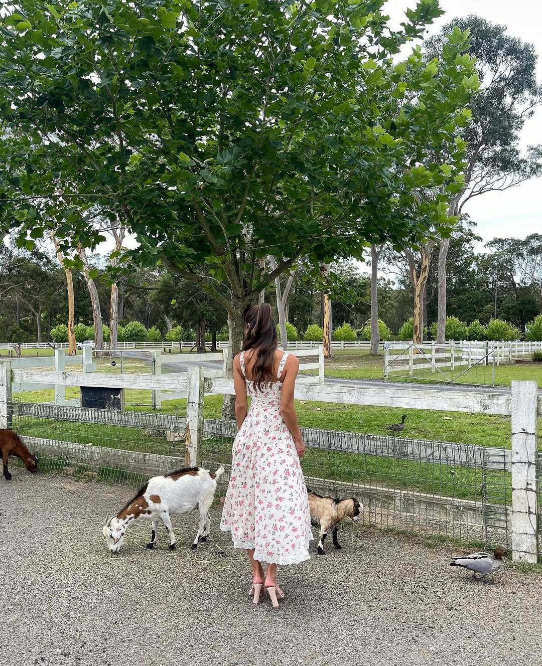 V neck Lace Stitching Dress Sexy Sling Slim Fit Waist Slimming Maxi Dress