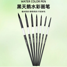 跨境黑天鹅毛笔套装 勾线水粉笔美术绘画DIY美术画笔工具厂家直销