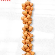 ���J�����Ȼ���J���������愓���T����ˇƷ�ҾӒ��С�Ѽ��b�Ʒ