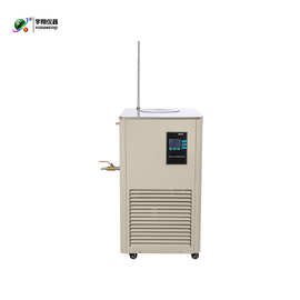 DLSB-10/20/40/80/120低温冷却液循环泵 10L10升制冷泵 低温泵