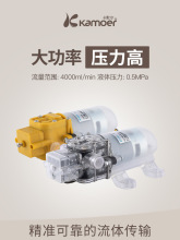 微型水泵电动隔膜泵小型抽水泵 家用增压泵12v高压喷雾小泵自吸泵