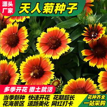 ˾շNﲥݻNͺƤշNӈ@־^G