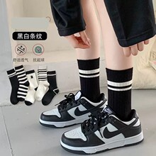 5�p�b��ɫŮ�m��Ͳ��ɫ���m��ɫ��ĸR�l�y���ﶬ�LͲ�l�y���L�m