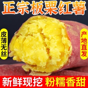 ����R�������t��ɳ�جF�����r�����r���ԷNС������ɽ��عϴ��l