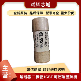 Fwp-63A22Fi Fwp-50G22Fi Complete Model Standard Package Dc Fast Fuse in Stock