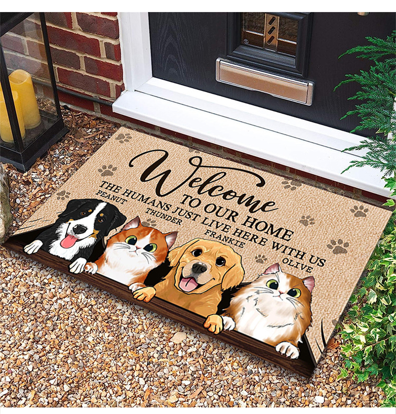 Cartoon Door Mat 5