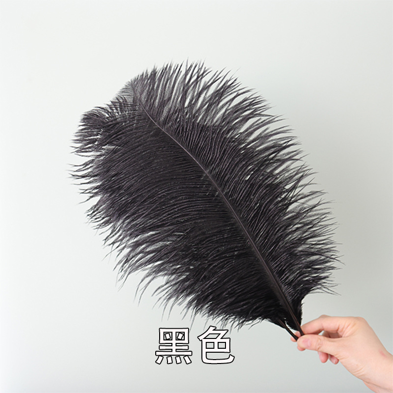 Plumas negras al por mayor DIY accesorios de decoración de ropa accesorios escenas de diseño de fábrica de plumas tienda directa