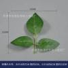 Rose leaf large