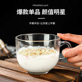 早餐牛奶玻璃杯带把手燕麦藕粉玻璃杯牛奶杯透明家用大容量礼品杯