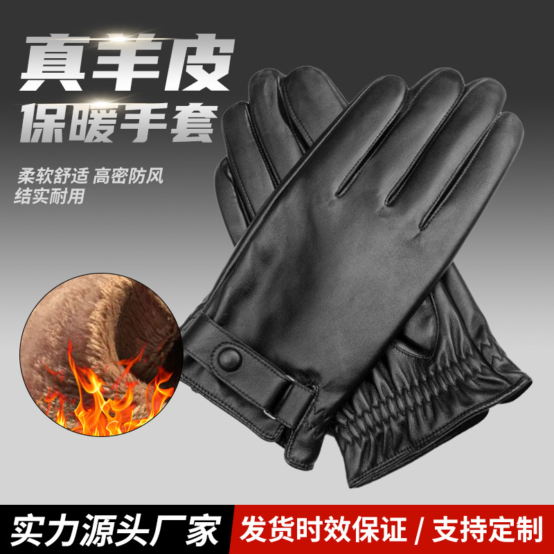 남성용 정품 가죽 장갑, 오토바이 운전용 겨울 따뜻한 가죽 장갑, 벨벳 양가죽 장갑, Xinji 도매