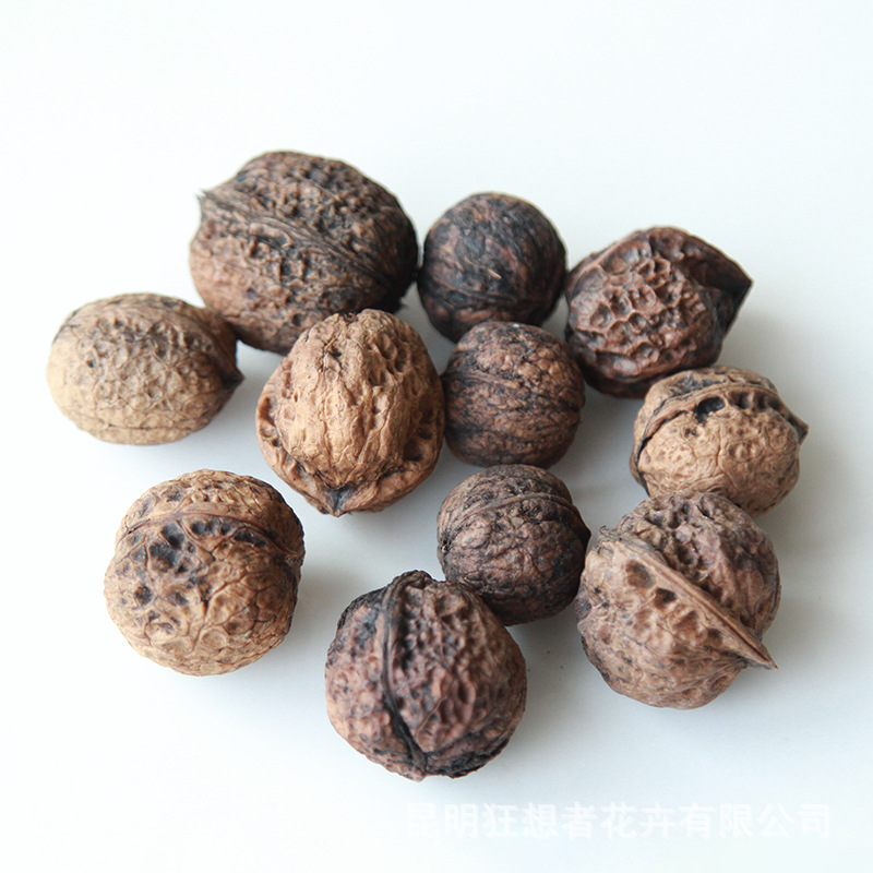 Màu cơ bản của hồ đào (10 cái trong một túi, kích thước hỗn hợp)