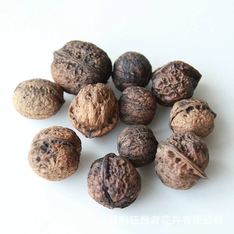 Dry Flower DIY Materials [Dry Fruit] Madman Sommelier Candle Plant Simagon Handmade Class Dry Flower Dry Branches Material