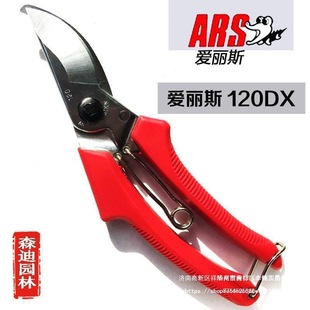 Japan Imported Alice Pruning Shears Alice Ars120Dx Scissors Gardening Shears Fruit Tree Scissors Branch Scissors
