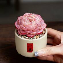 ����ֲ��M���҃Ȏ���С������¶�ҵ��Ϙ�������Gֲ����������