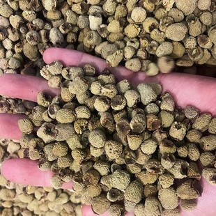 ��؛��������ș500g ɢ�b���۴��w�������� ��ș�����l����ă�