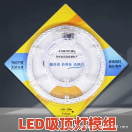 吸顶灯;LED球泡灯;其他LED光源