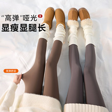 高端加绒鲨鱼裤女外穿秋冬季加厚2025新款保暖秋裤棉裤打底瑜伽裤