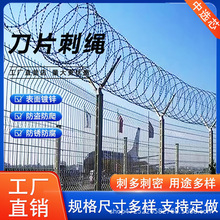 ���P䓷��P�O�z�̽z��Ƭ�̙C���L�\���I���x�F�z�W�W�������K