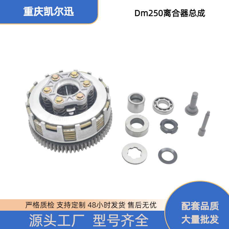 Motorcycle Parts Clutch Suitable for Italika 250Z Dm250Z Rt250 Clutch Assembly