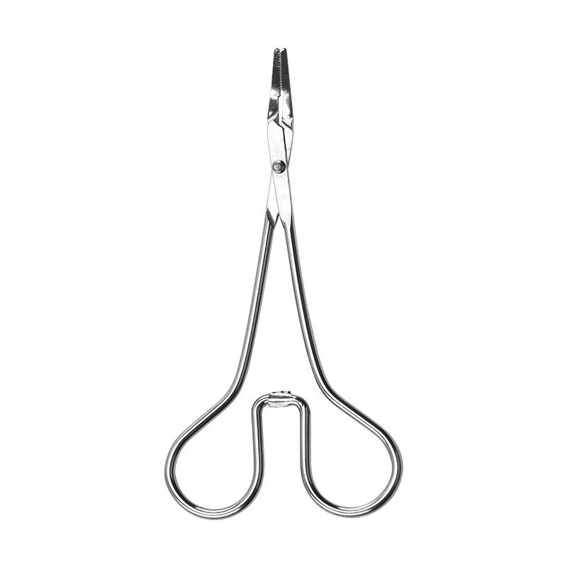 지혈 겸자 곡선 입