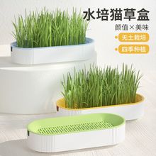 跨境宠物用品猫咪零食猫薄荷种植水培盒猫草盆水培猫草盒套装批发