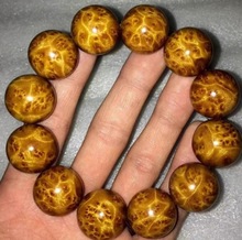 ��z�ľ�ִ��W늱��yС�~�E����ϝM����2.0��ʿ�����ִ�