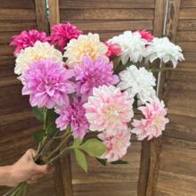 �¿�3�^�pɫ���������滨��c�û���Y�ò廨·���b�ˇ�Ҿ�