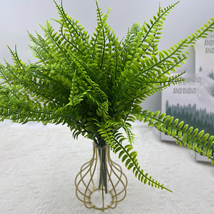 Gֲ˹Pβֲ滨c·ҾbĲ˹~