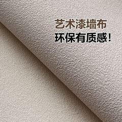 2025 新しい珪藻泥アートペイント壁装材家全体マイクロセメント高級リビングルーム寝室の背景壁ハイエンド壁装材
