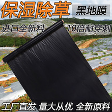耐用农用加厚黑色地膜除草膜塑料薄膜果树果园蔬菜大棚草莓包