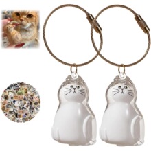 ͸��؈ë�ռ{�е��Ť�� ؈��ë�l����z��