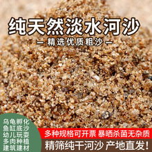 天然河沙砂沙子沙土土壤种植多肉植物鱼缸粗沙细沙黄沙黄砂营养土