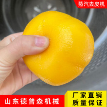 ˮ�����^ȥƤ��ˮ������ÓƤ�O����l��Ƭ�ӹ����a��