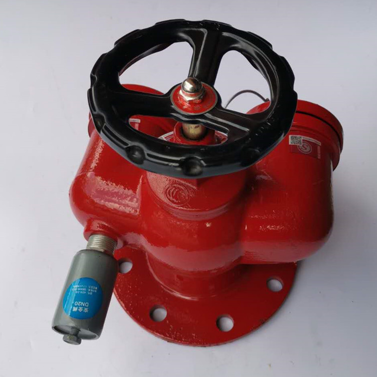 地上式消防水泵接合器  多用式消防水泵接合器DN100 DN150