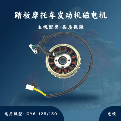 Main Unit Accessories for Scooter Gy6 Engine Parts, Electronic Fuel Injection Magneto Assembly, 23-Tooth Flywheel Coil (Motorcycle engine and accessories)