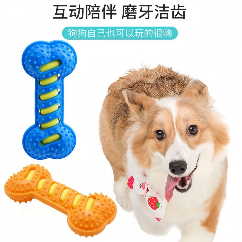 越境犬のおもちゃは歯ぎしりに耐えます。|undefined