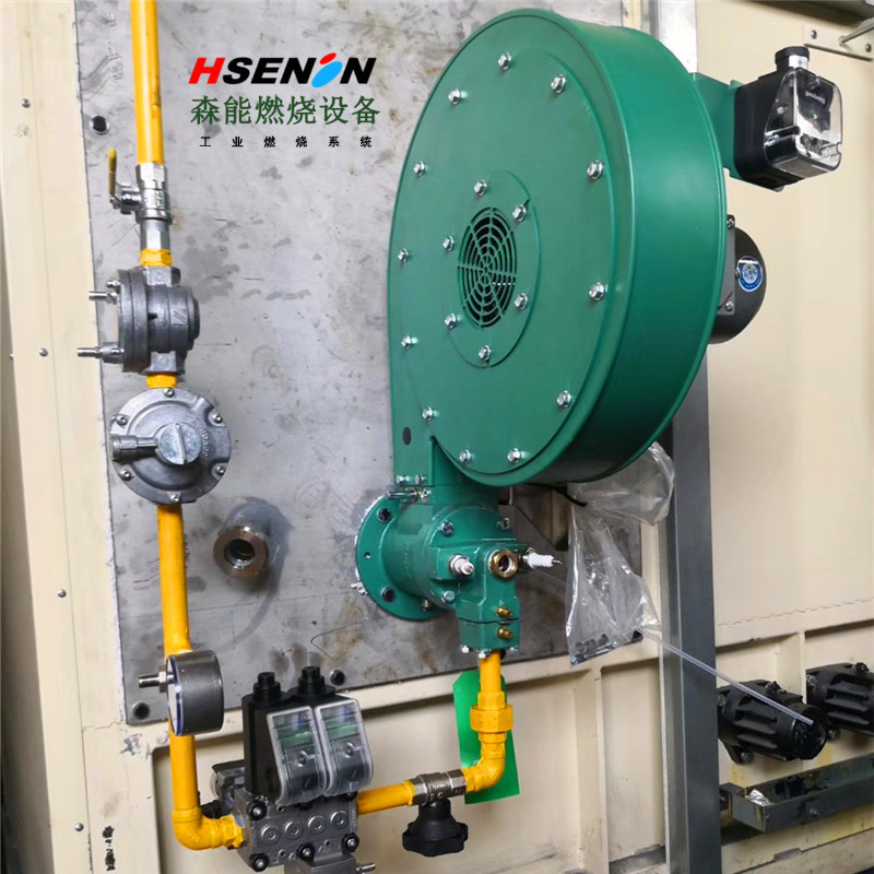 eclipse燃烧器 天时燃烧机 RM天然气燃烧器 纺织品干燥燃烧机
