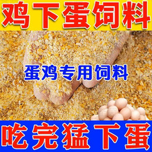 鸡饲料蛋鸡饲料价料下蛋鸡补钙农家散养鸡鸭鹅鹌鹑鸽子50斤多省