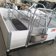 世昌双体欧式养猪床 饲喂猪栏 供应猪床厂家 畜牧设备