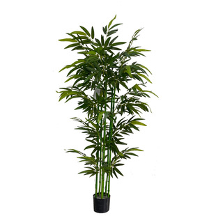 �Gֲ���F����������҃ȴ���ֲ��[���b����滨�߷���Ҿ��b��