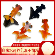 С���~���~�^�p�~��ˮ��ˮ�t�~�\���~���B�ͻ����\���^������~