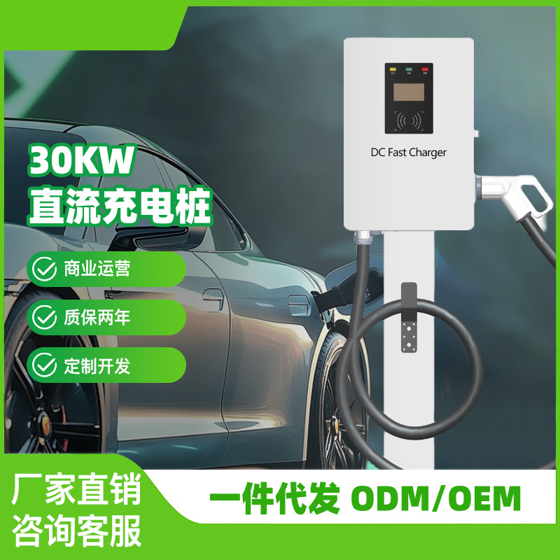 30kw直流家用充电桩9孔新能源电动汽车充电桩380V适用启辰 蔚来