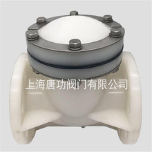 PVDF����ʽֹ���y PVC��ʽ��ֹ�y�����y�����|�͸��g�ߜ�H44F-10F