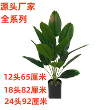 ���W���R�d����ֲ��Gֲ����18�^�Ž��~�����B�Ҿӈ@�ֹ����b�